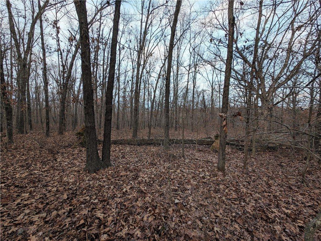 16.15 Acres Evanton Road, Bella Vista, AR 72715