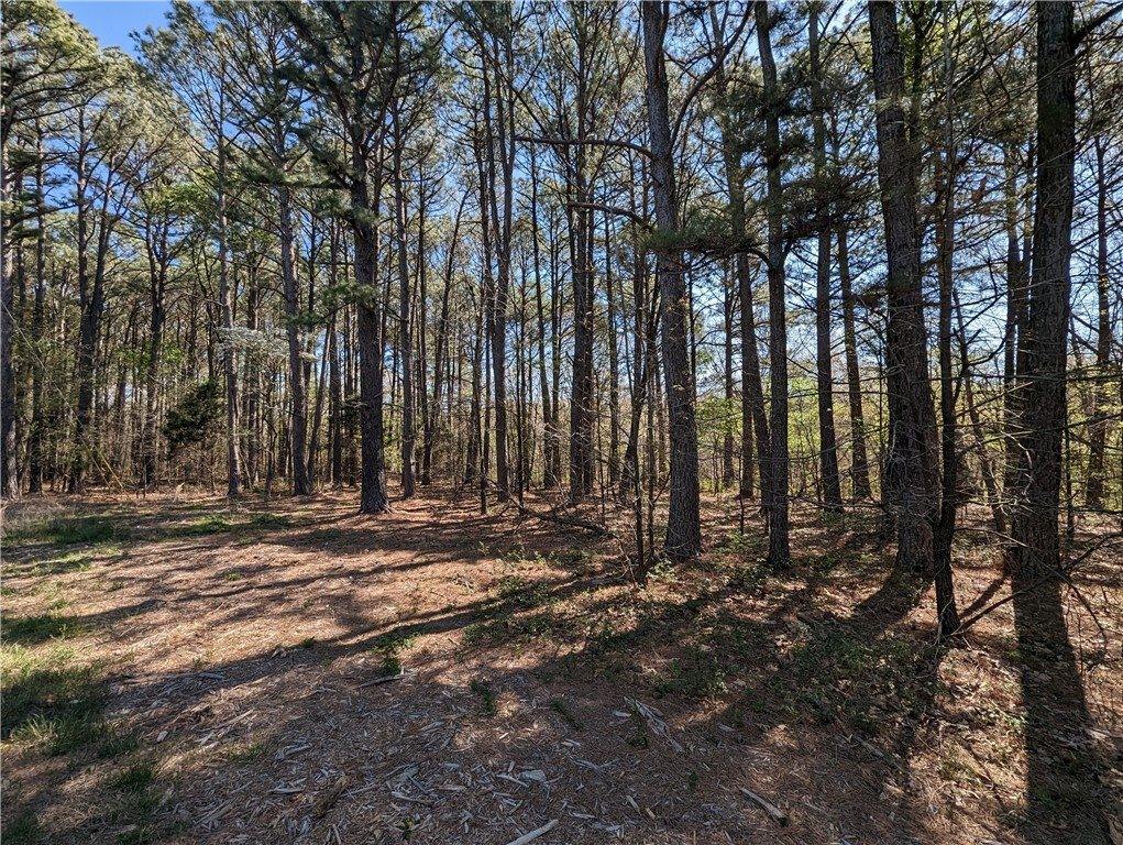 16.15 Acres Evanton Road, Bella Vista, AR 72715