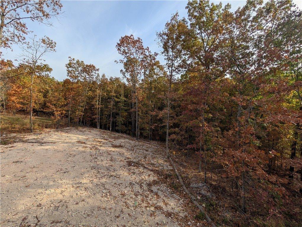 38 Sidlaw Hills Drive, Bella Vista, AR 72715