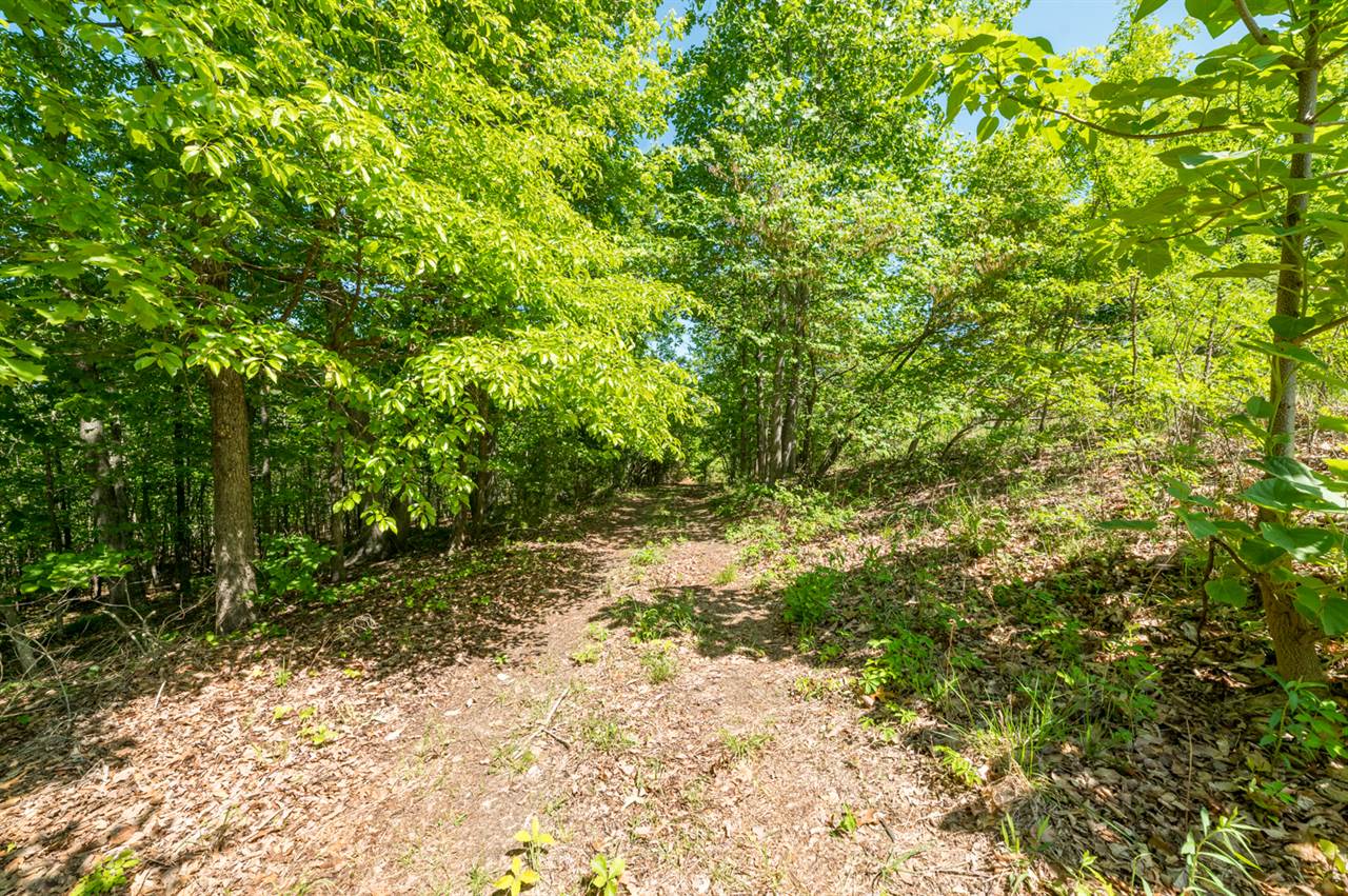 Lot 2 Tower Hill Rd, Appomattox, VA 24522