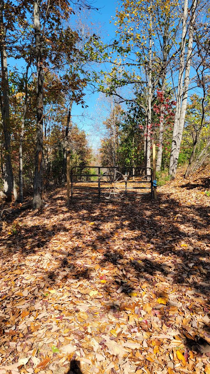 Lot 2 Tower Hill Rd, Appomattox, VA 24522