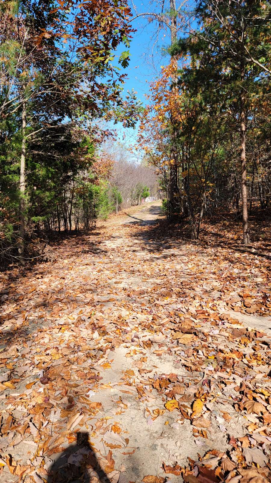 Lot 2 Tower Hill Rd, Appomattox, VA 24522