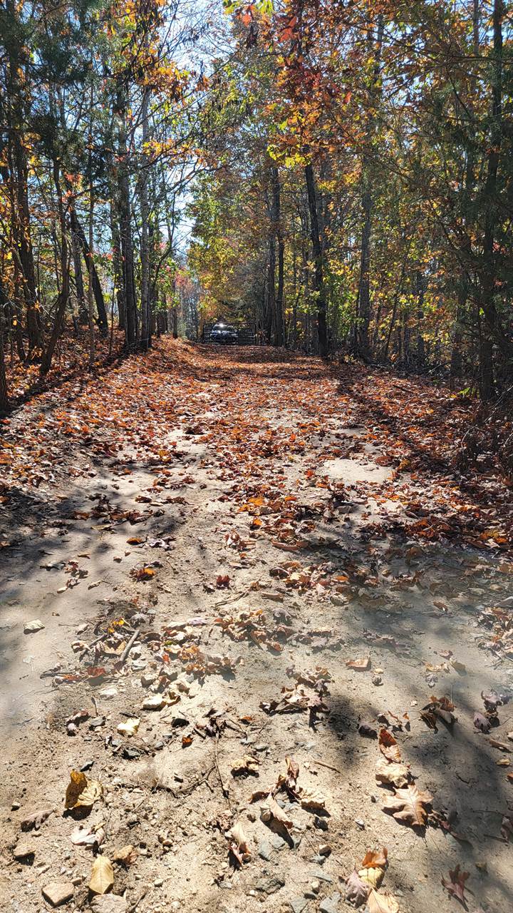 Lot 2 Tower Hill Rd, Appomattox, VA 24522