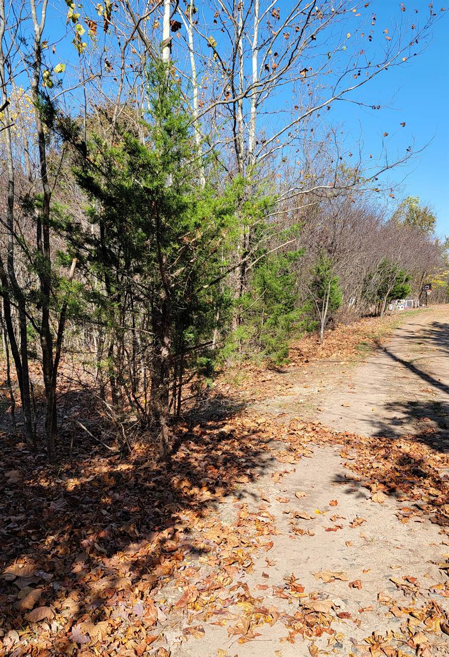 Lot 2 Tower Hill Rd, Appomattox, VA 24522