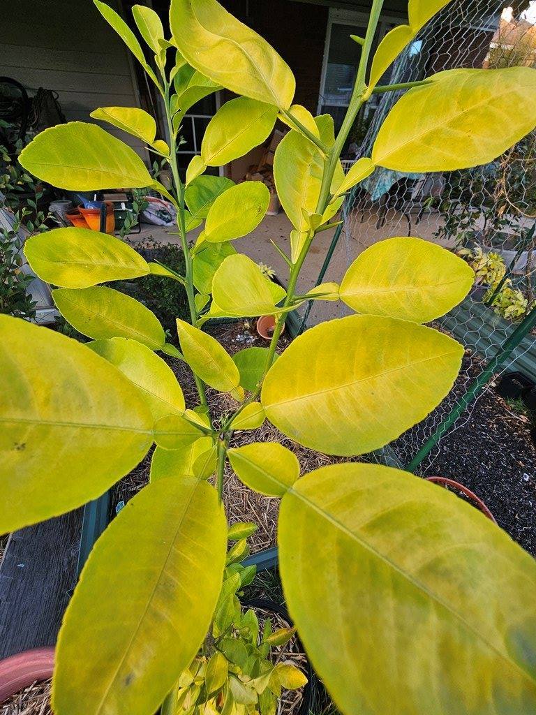 1611 North North Grove Court, Columbus, GA 31904