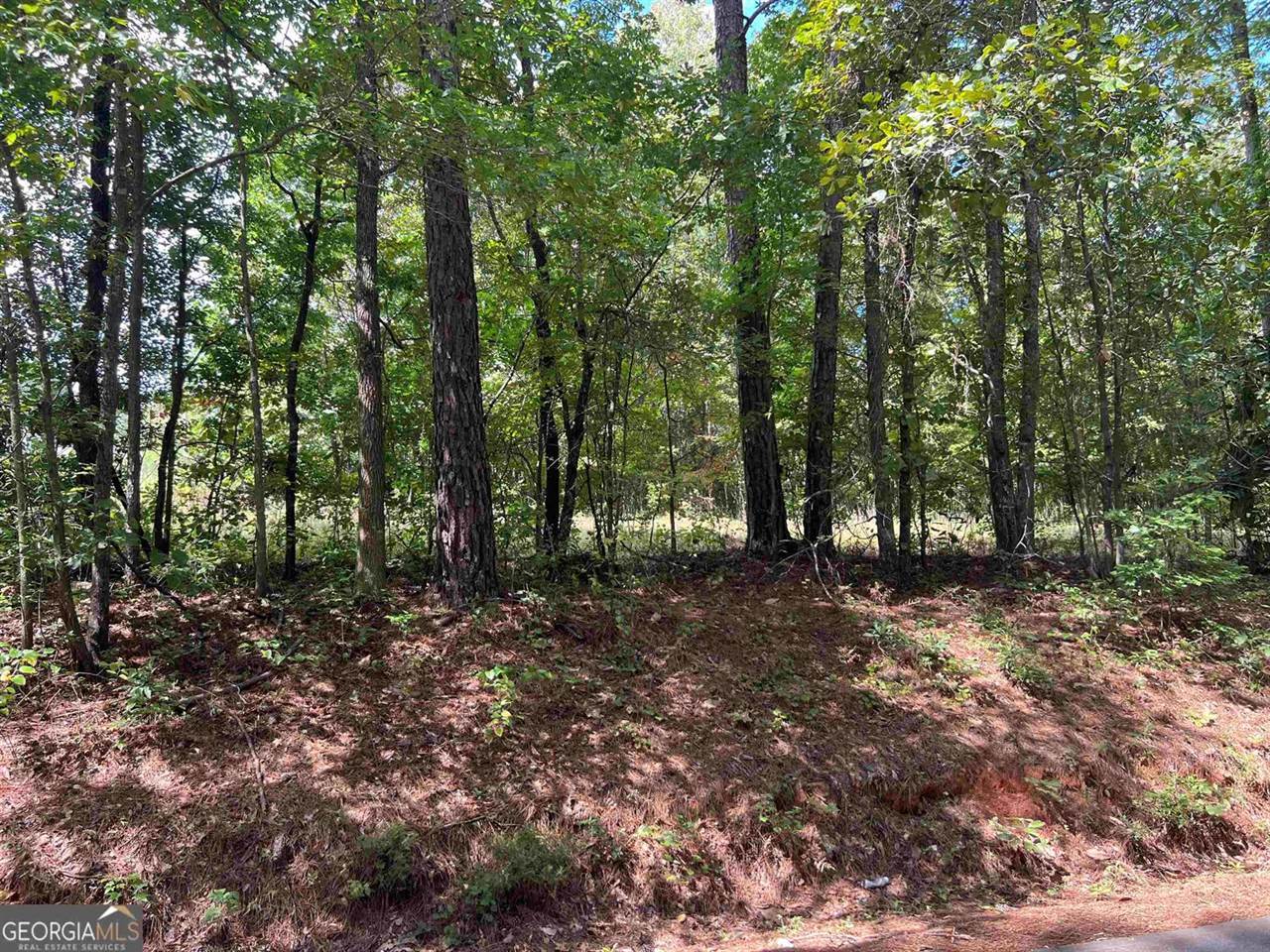 LOT 15 Weems Road, Molena, GA 30258