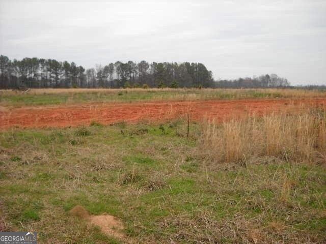 LOT 2 Mathews Rd, Milner, GA 30257