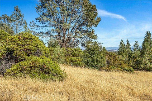 20102 Jaclyn Drive, Middletown, CA 95461