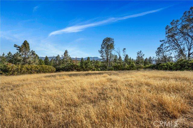 20102 Jaclyn Drive, Middletown, CA 95461