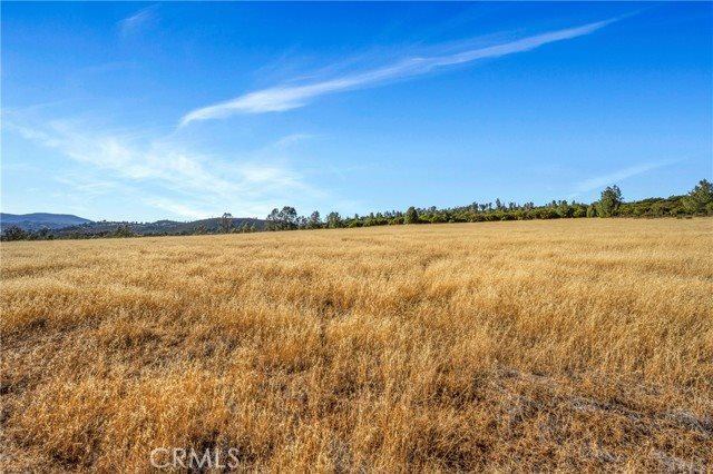 20102 Jaclyn Drive, Middletown, CA 95461