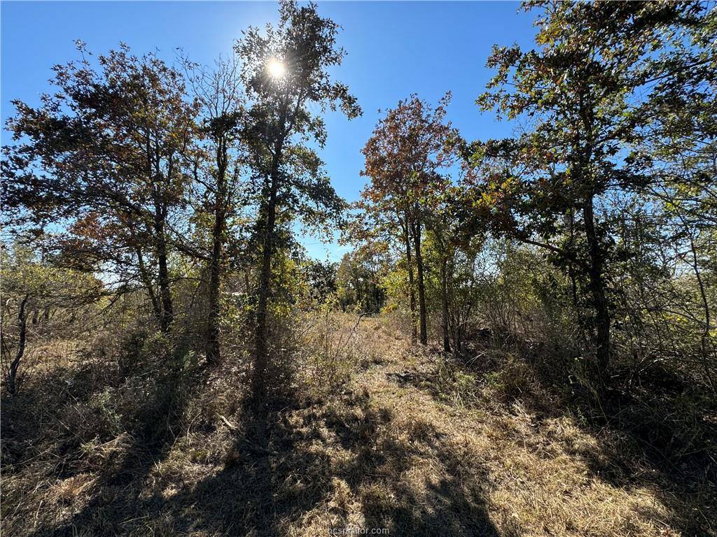 12907 County Road 164, Iola, TX 77861