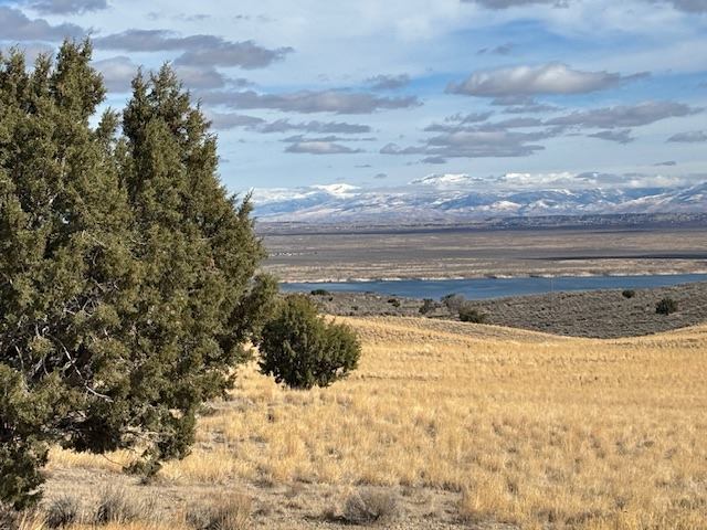 1958 Washington, Spring Creek, NV 89815