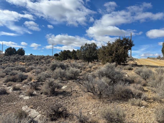 TBD Lee Ave, Spring Creek, NV 89815