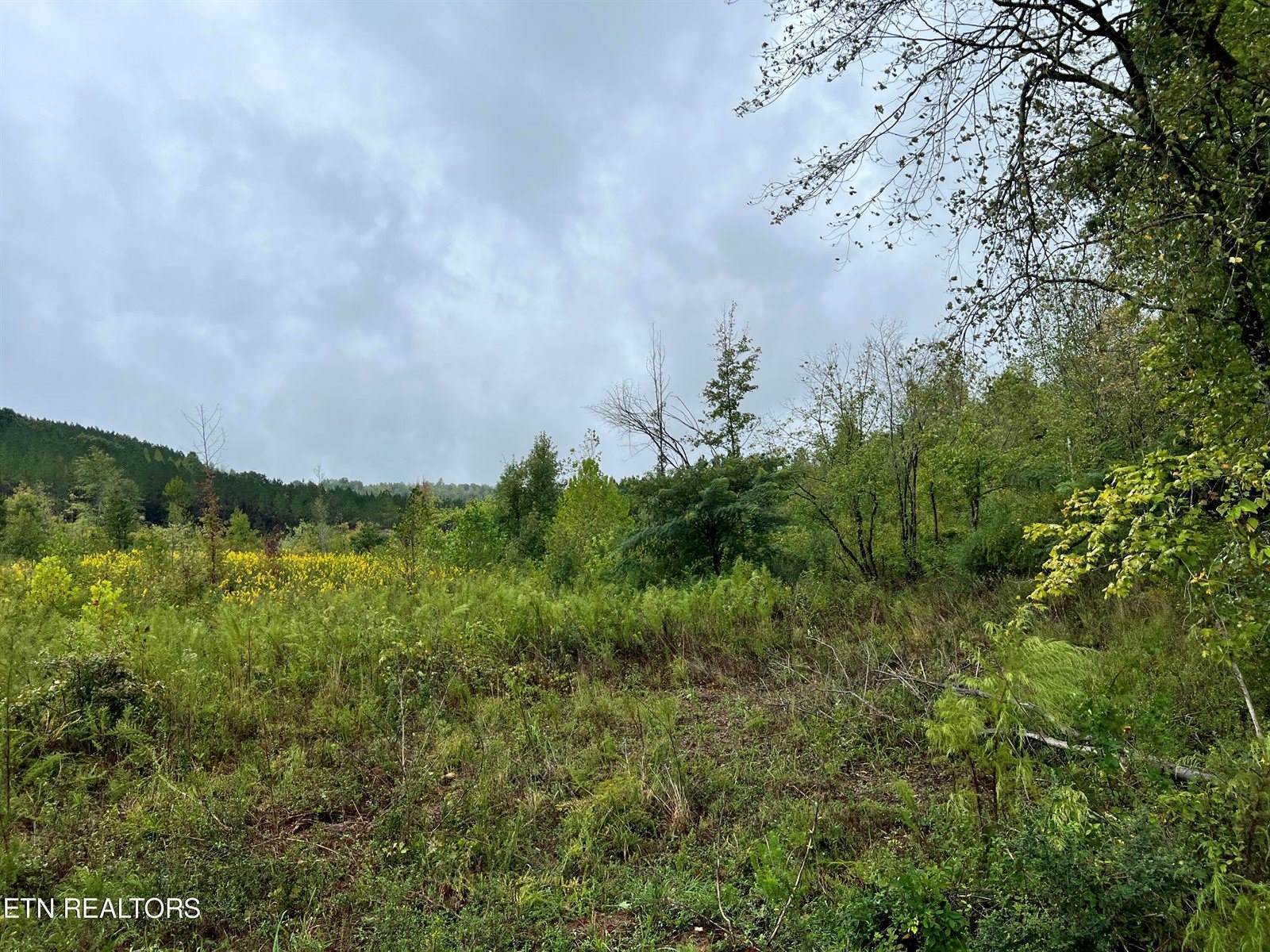 North Lot 4 North Nopone Valley Rd Rd, Decatur, TN 37322