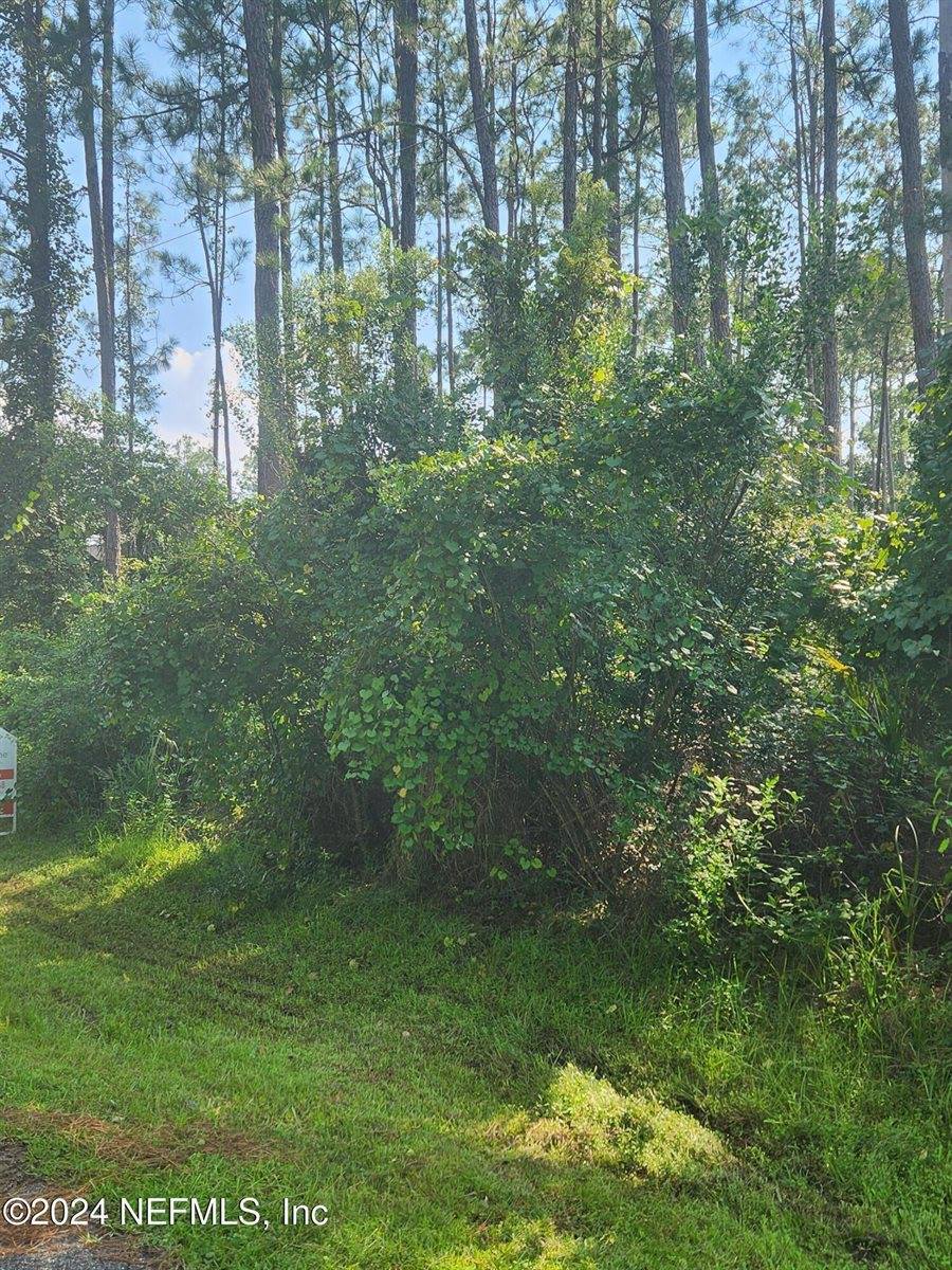 6, 8, 12 Wood Acre Lane, Palm Coast, FL 32164