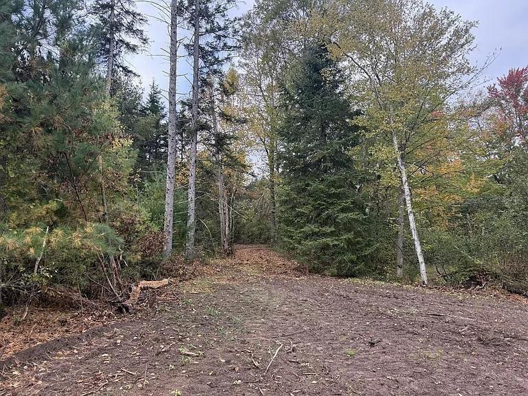 8.01 Acres PINE SHORE LANE, Tomahawk, WI 54487