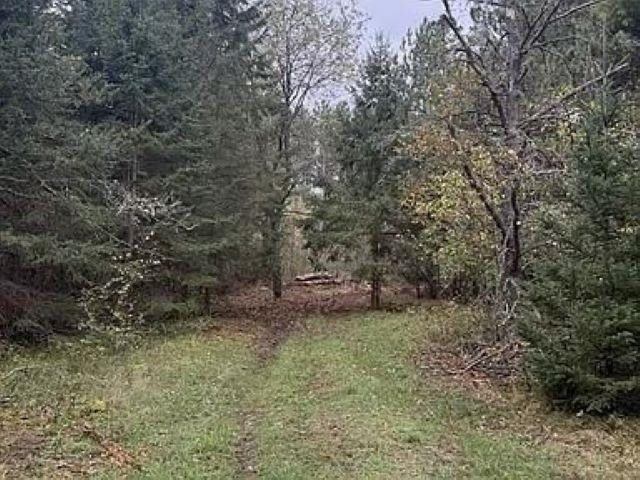 8.01 Acres PINE SHORE LANE, Tomahawk, WI 54487