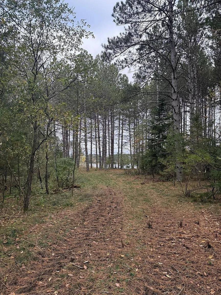 8.01 Acres PINE SHORE LANE, Tomahawk, WI 54487