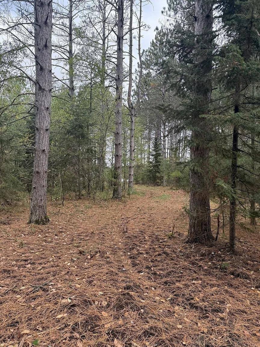 8.01 Acres PINE SHORE LANE, Tomahawk, WI 54487