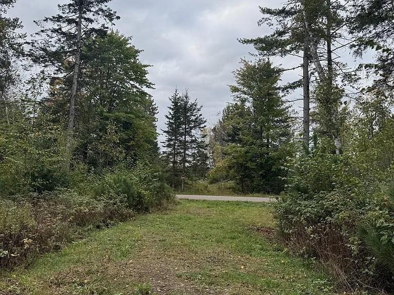 3.01 Acres PINE SHORE LANE, Tomahawk, WI 54487