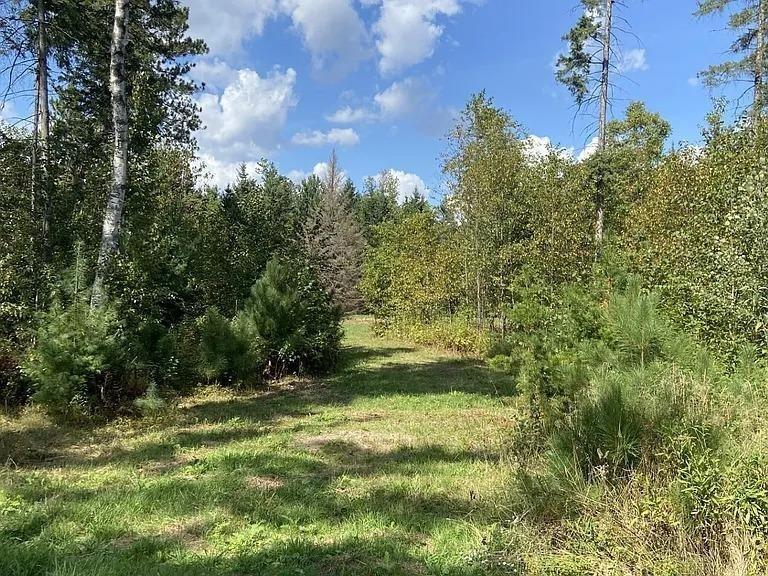 3.01 Acres PINE SHORE LANE, Tomahawk, WI 54487