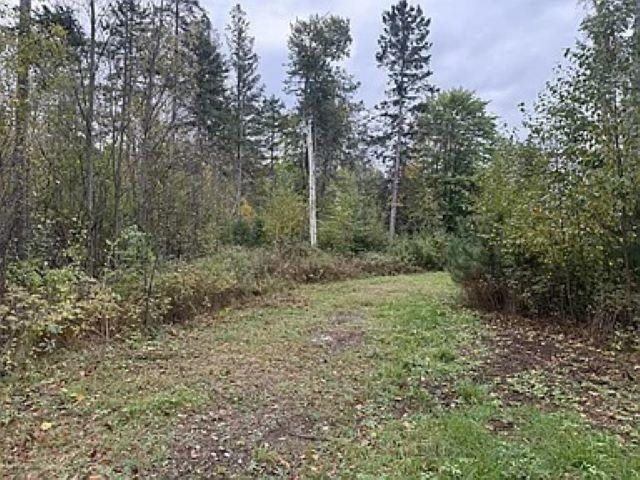 3.01 Acres PINE SHORE LANE, Tomahawk, WI 54487