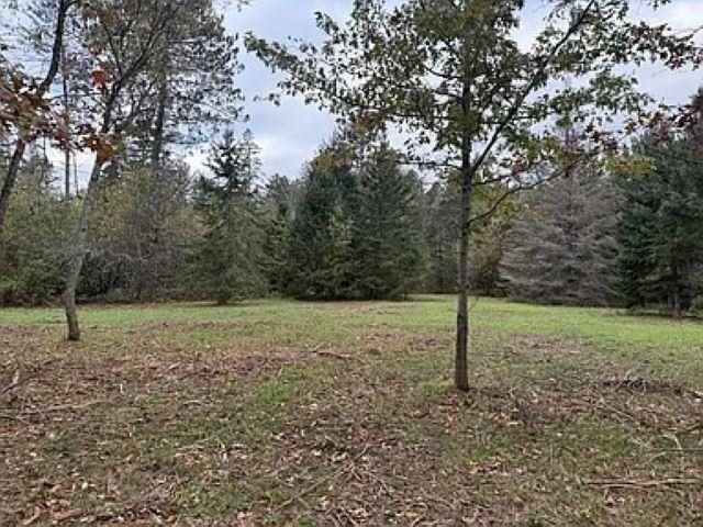 3.01 Acres PINE SHORE LANE, Tomahawk, WI 54487