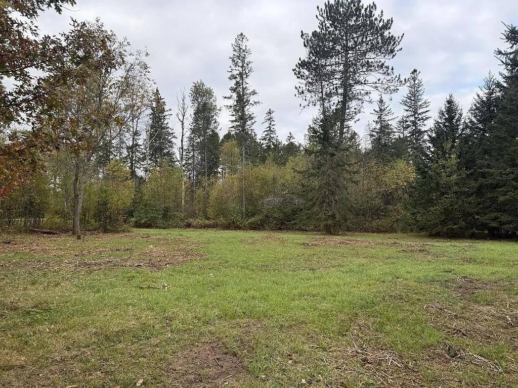 3.01 Acres PINE SHORE LANE, Tomahawk, WI 54487