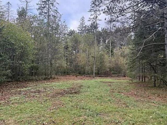 3.01 Acres PINE SHORE LANE, Tomahawk, WI 54487