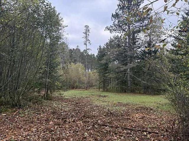 3.01 Acres PINE SHORE LANE, Tomahawk, WI 54487