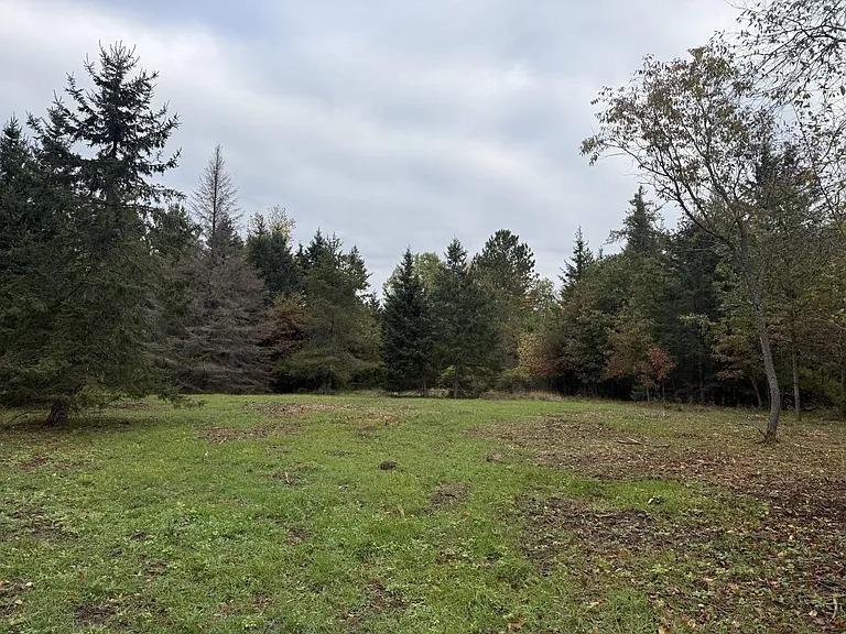 3.01 Acres PINE SHORE LANE, Tomahawk, WI 54487