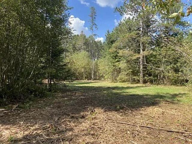 3.01 Acres PINE SHORE LANE, Tomahawk, WI 54487