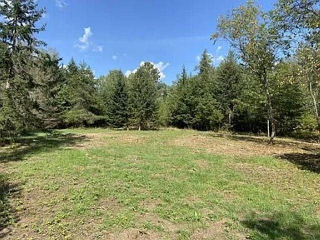 3.01 Acres PINE SHORE LANE, Tomahawk, WI 54487