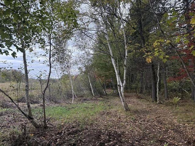 12.01 Acres PINE SHORE LANE, Tomahawk, WI 54487