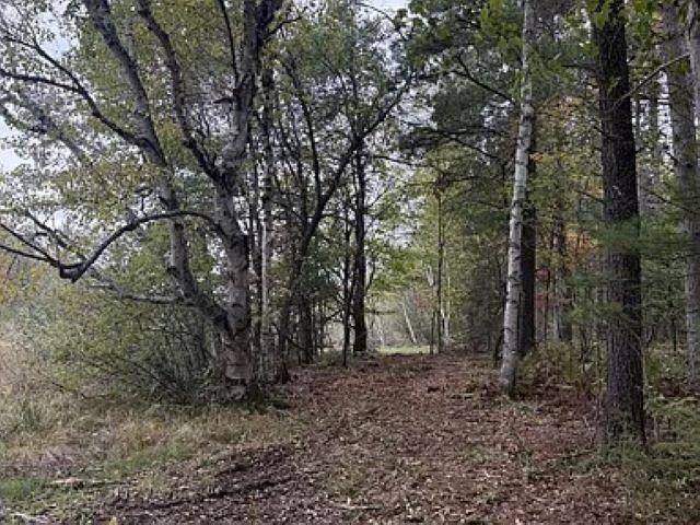 12.01 Acres PINE SHORE LANE, Tomahawk, WI 54487