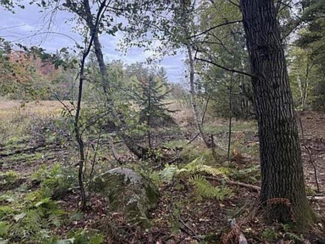 12.01 Acres PINE SHORE LANE, Tomahawk, WI 54487