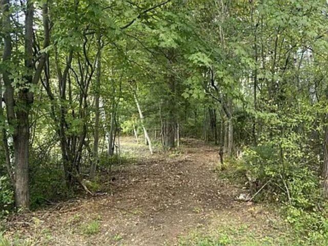 12.01 Acres PINE SHORE LANE, Tomahawk, WI 54487