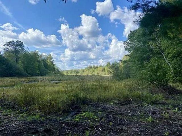 12.01 Acres PINE SHORE LANE, Tomahawk, WI 54487