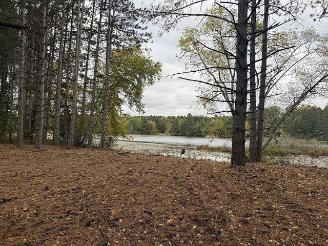 12.01 Acres PINE SHORE LANE, Tomahawk, WI 54487