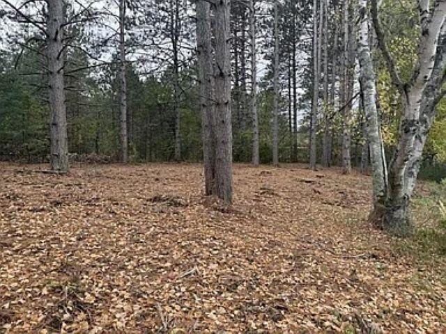 12.01 Acres PINE SHORE LANE, Tomahawk, WI 54487