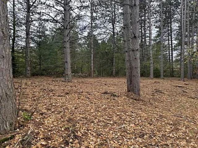 12.01 Acres PINE SHORE LANE, Tomahawk, WI 54487