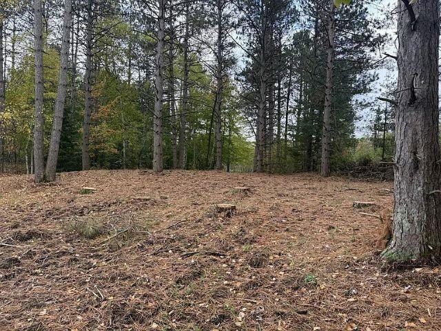 12.01 Acres PINE SHORE LANE, Tomahawk, WI 54487