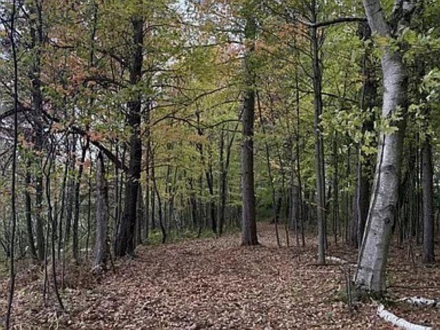 12.01 Acres PINE SHORE LANE, Tomahawk, WI 54487