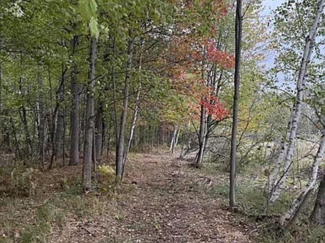 12.01 Acres PINE SHORE LANE, Tomahawk, WI 54487