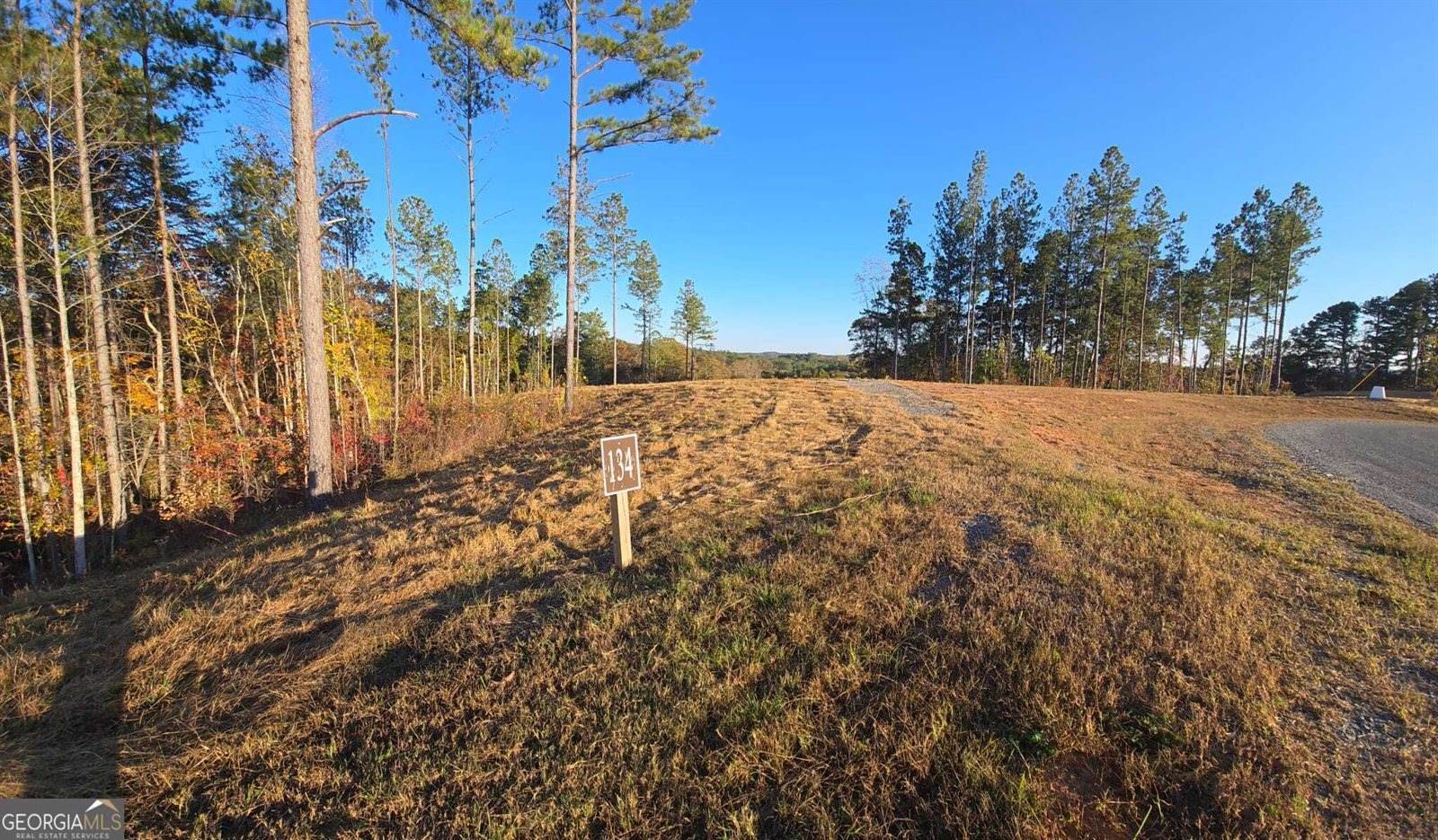 LOT 134 River Reach Lane, Talking Rock, GA 30175