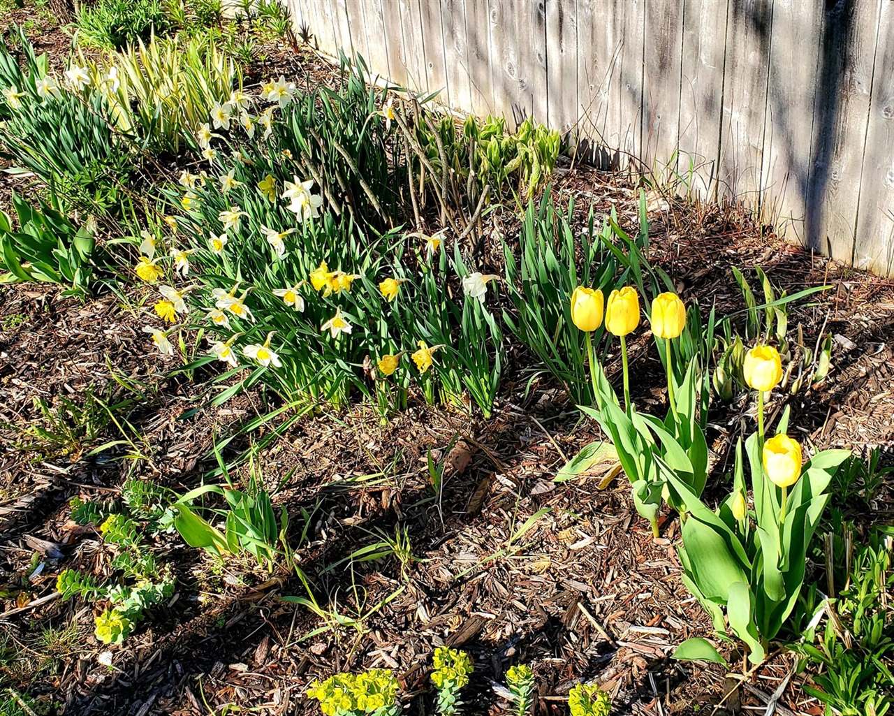 14992 Co Rd 451, Hillman, MI 49746