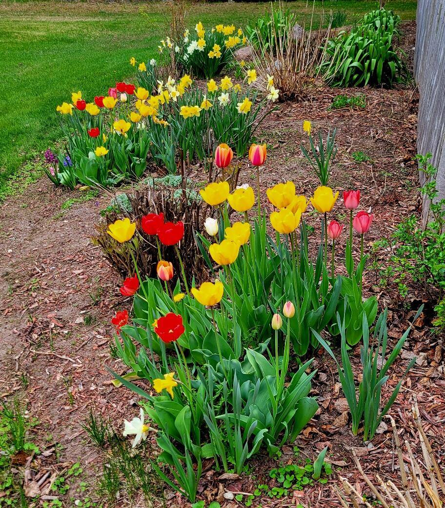 14992 Co Rd 451, Hillman, MI 49746