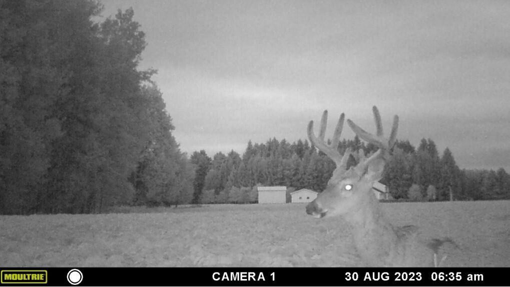 14992 Co Rd 451, Hillman, MI 49746