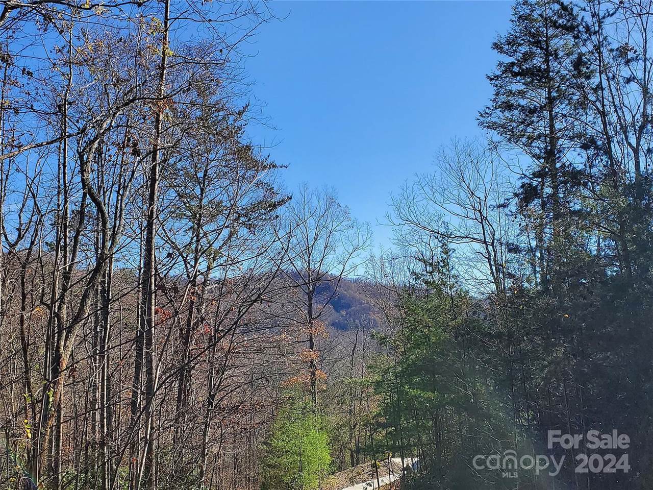 336 Falling Leaves Lane, #41, Hendersonville, NC 28792