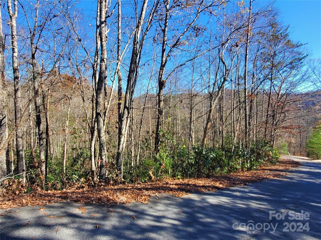 336 Falling Leaves Lane, #41, Hendersonville, NC 28792